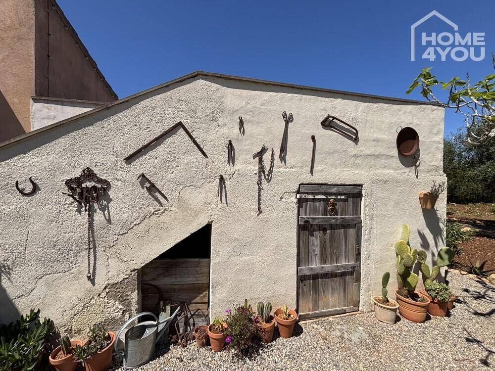 Rustikale Außenwand eines Nebengebäudes mit traditionellen Dekorationen und Kakteen.