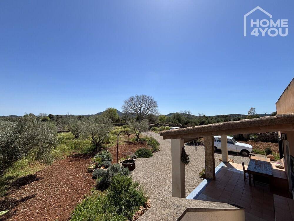 Weitläufiger Blick von der überdachten Terrasse auf die ländliche Umgebung mit Olivenbäumen.