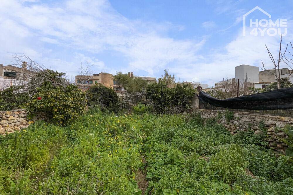Ungepflegter Gartenbereich mit viel Grün und Potenzial zur Gestaltung.