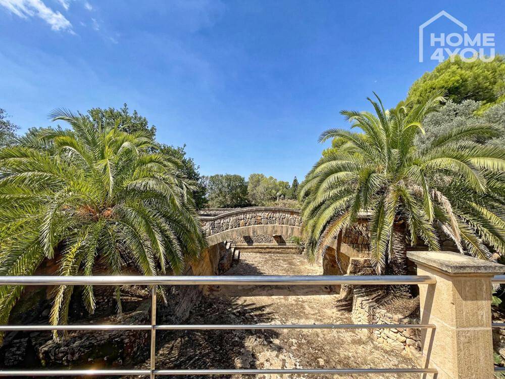 Malerische Steinbrücke über ein trockenes Bachbett, umgeben von üppigen Palmen im Garten.