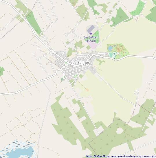 Ses Salines