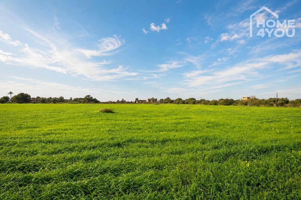 Weitläufige grüne Felder unter einem strahlend blauen Himmel mit wenigen Wolken, typisch für die Landschaft.