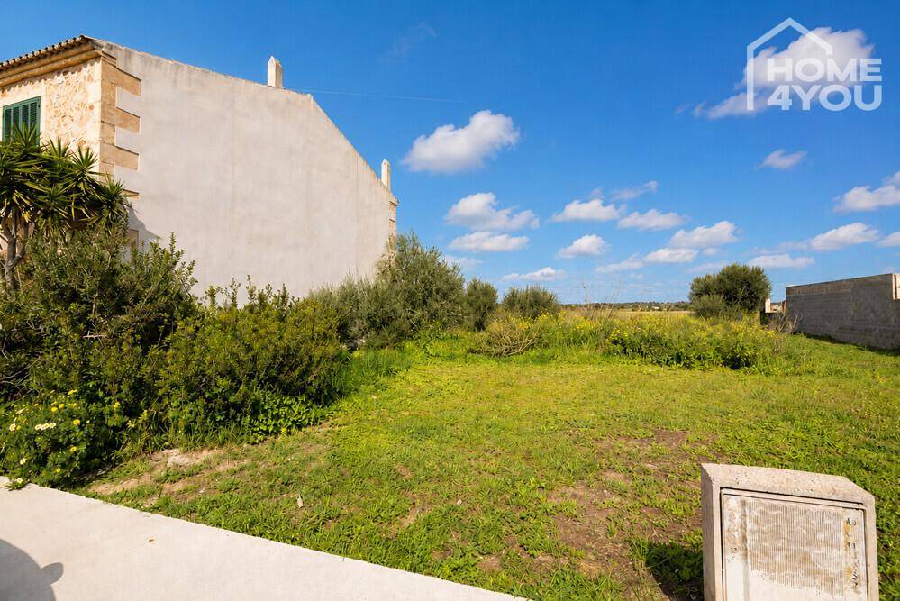 Weitläufiges unbebautes Grundstück mit mediterraner Vegetation und angrenzenden Häusern.