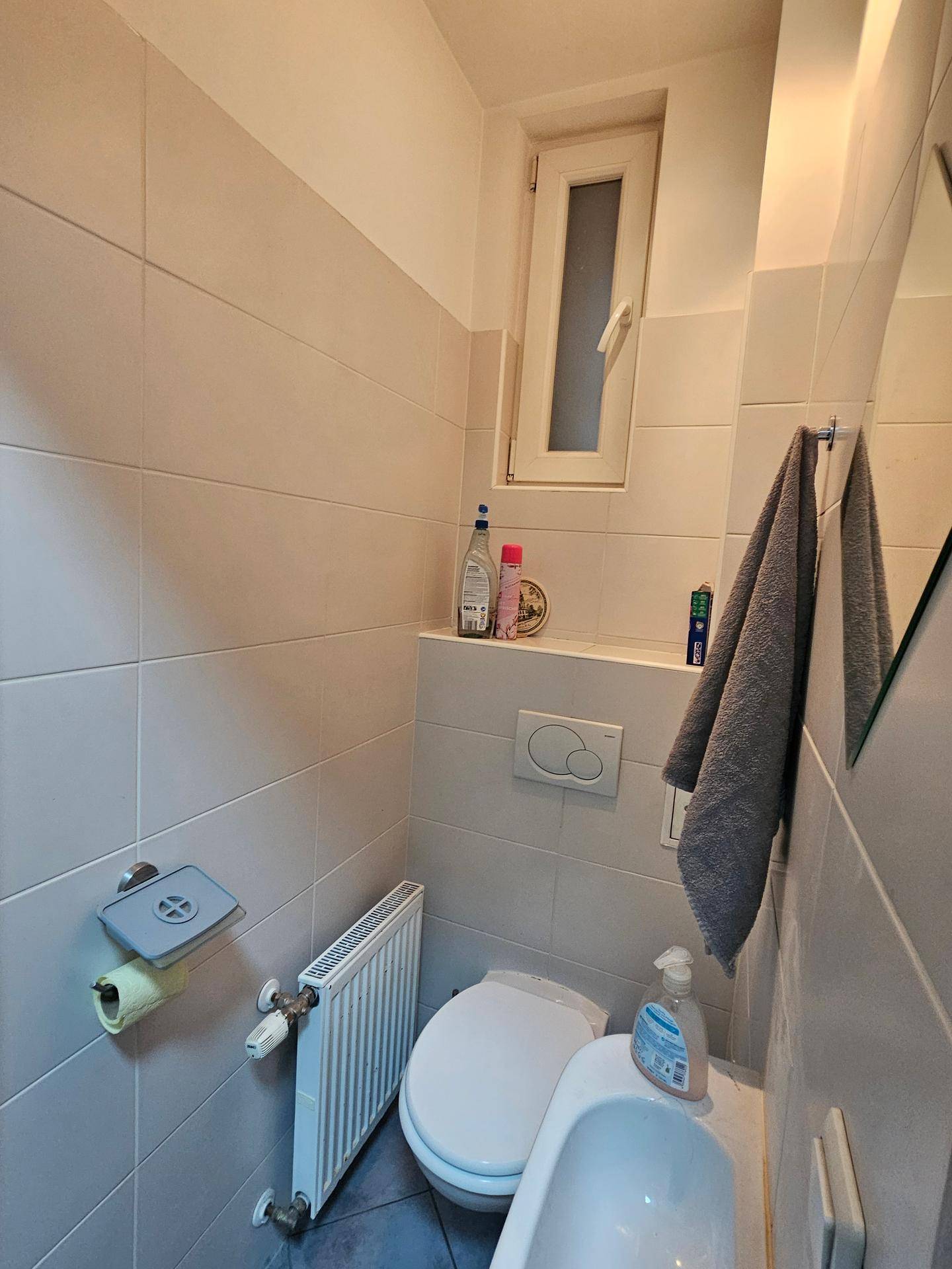 Kompaktes WC mit Fenster, Wand-WC und Heizkörper, funktional und hell.