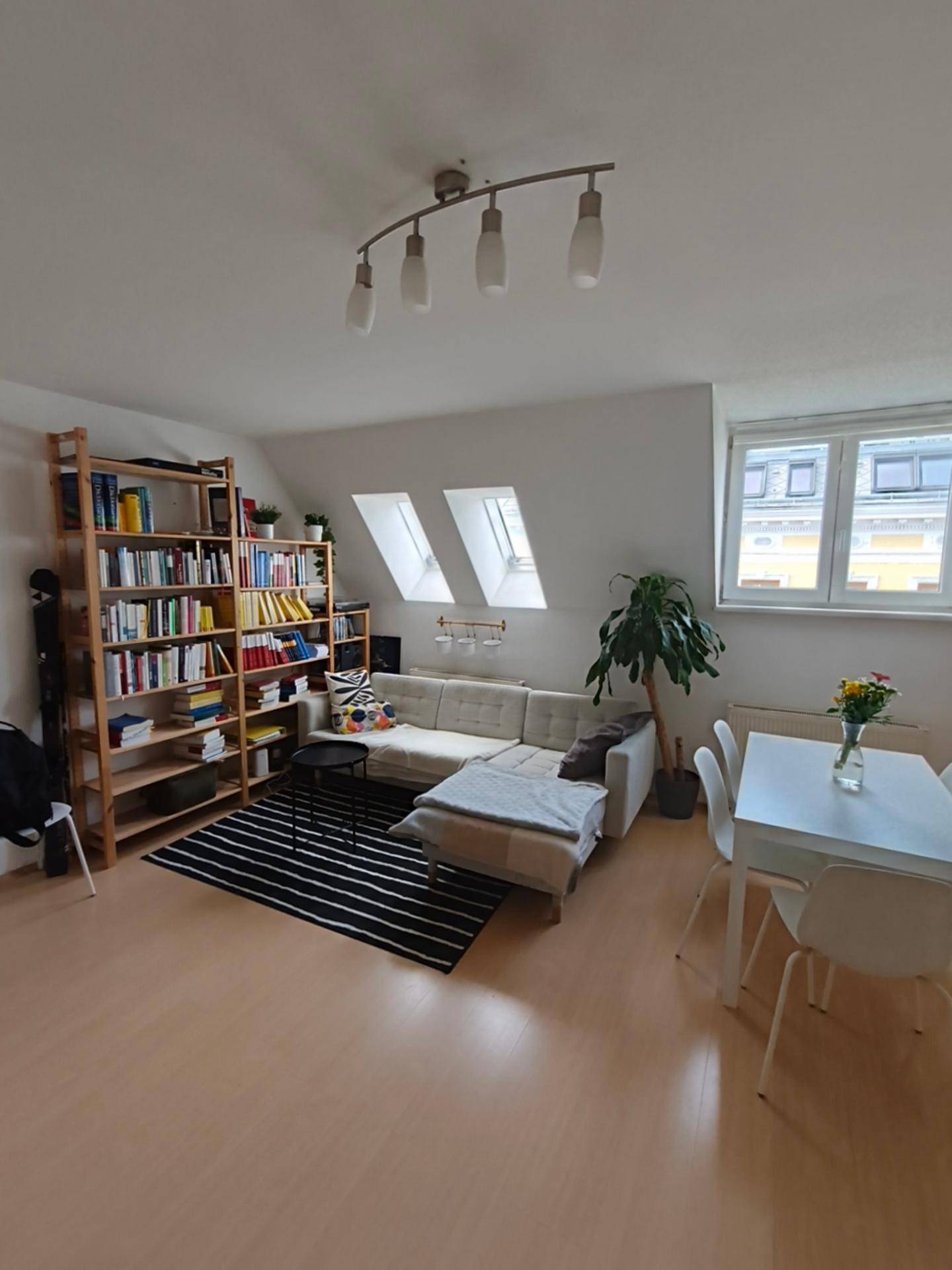 Heller Wohnbereich mit Sofa, großem Bücherregal und zwei Dachfenstern für viel Tageslicht.