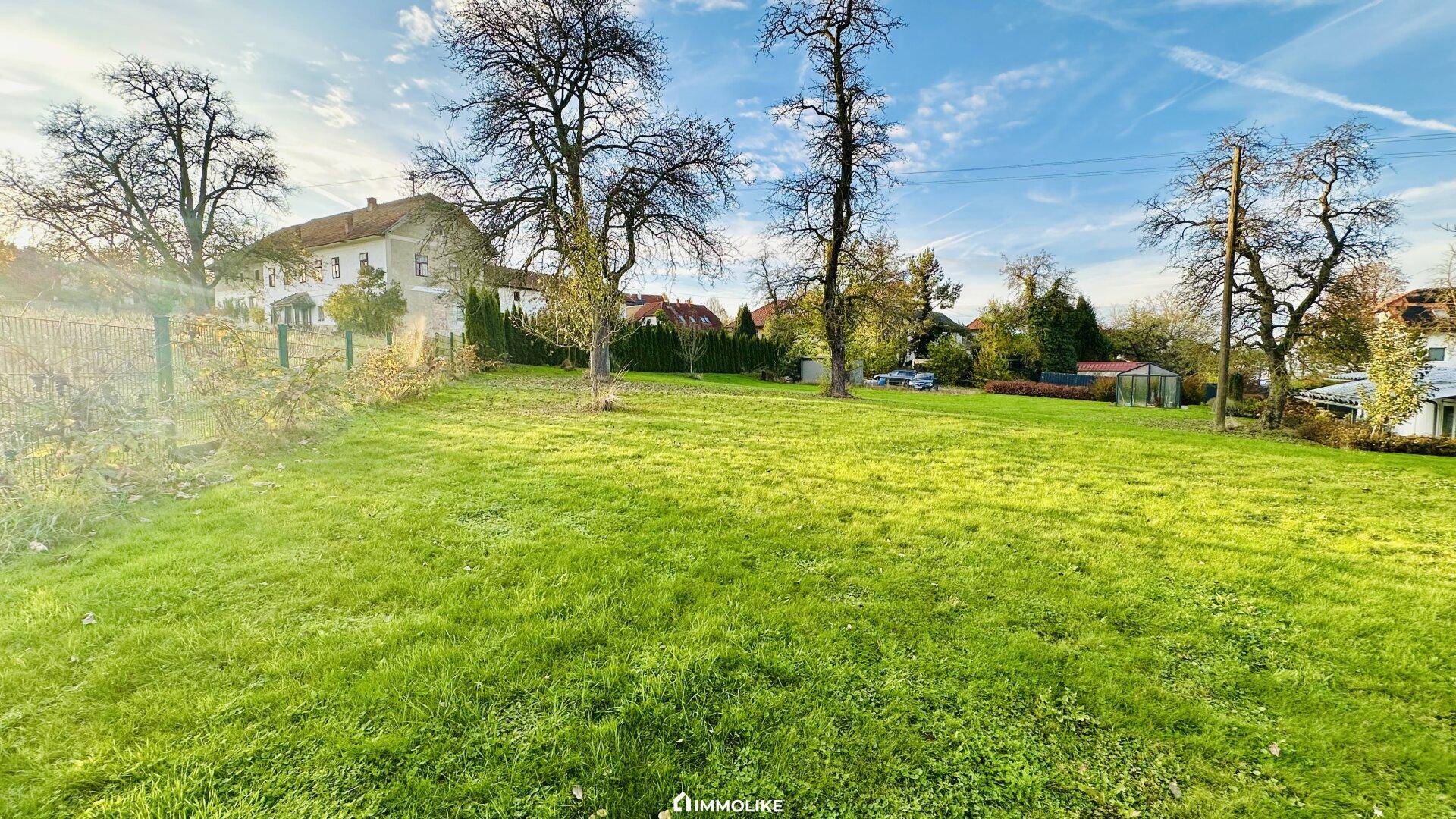 Ausgedehnte grüne Wiese mit hohen Bäumen und einem traditionellen Haus im Hintergrund.