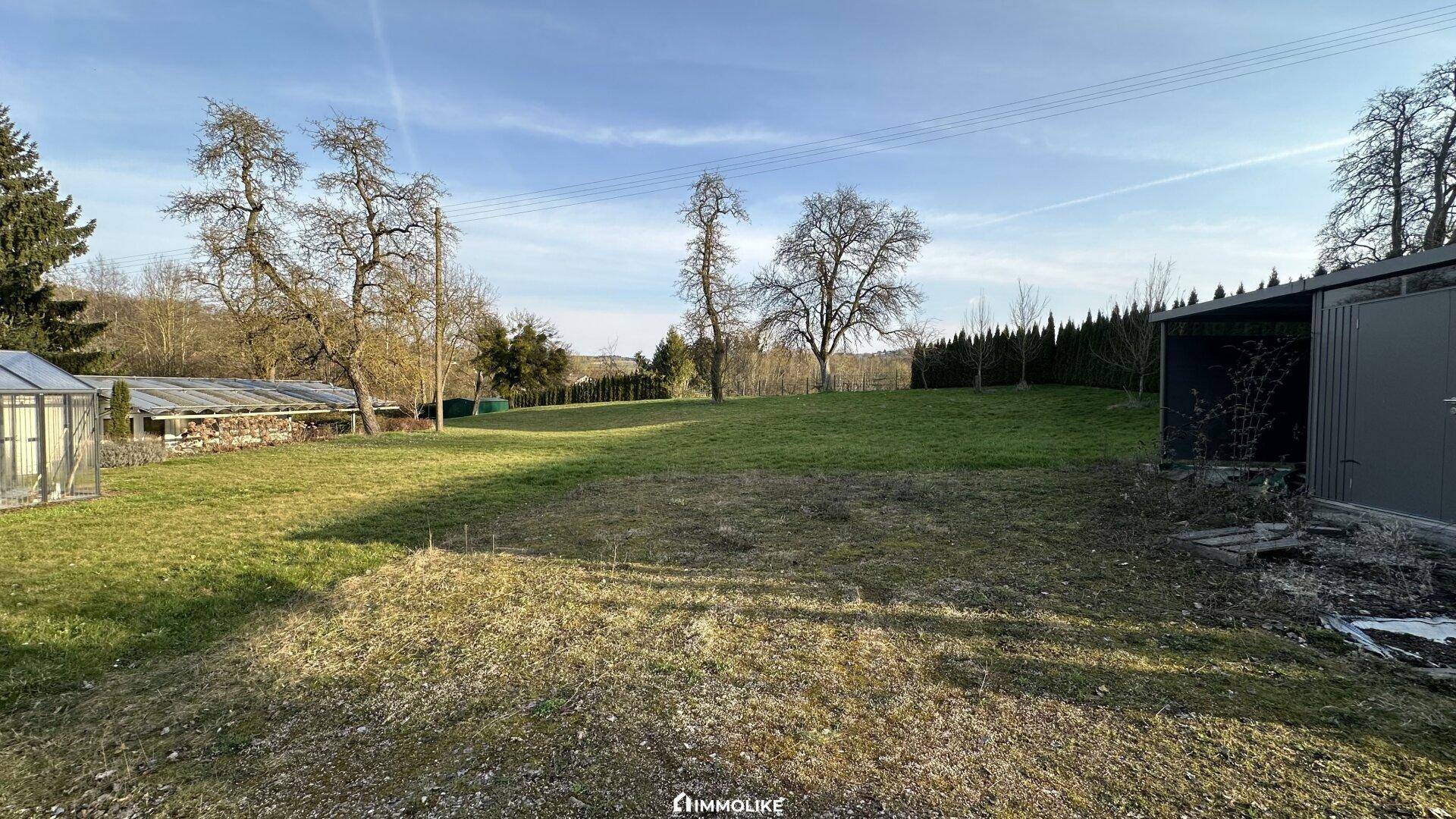 Offene Grünfläche mit Bäumen, einem Gewächshaus und einem Schuppen unter klarem Himmel.