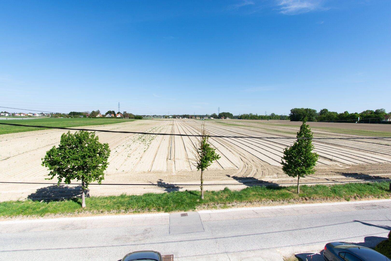 Weitläufiger Blick über weite Felder und ländliche Umgebung unter einem klaren blauen Himmel.
