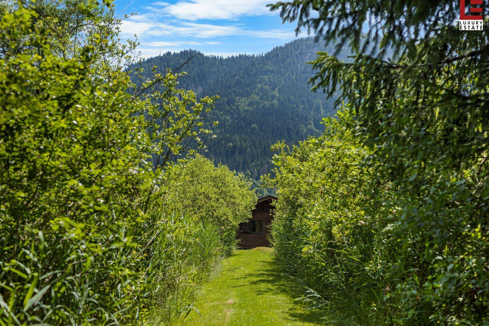 Ein grüner Pfad führt durch dichtes Laubwerk zu einer kleinen Holzhütte mit Bergblick im Hintergrund.