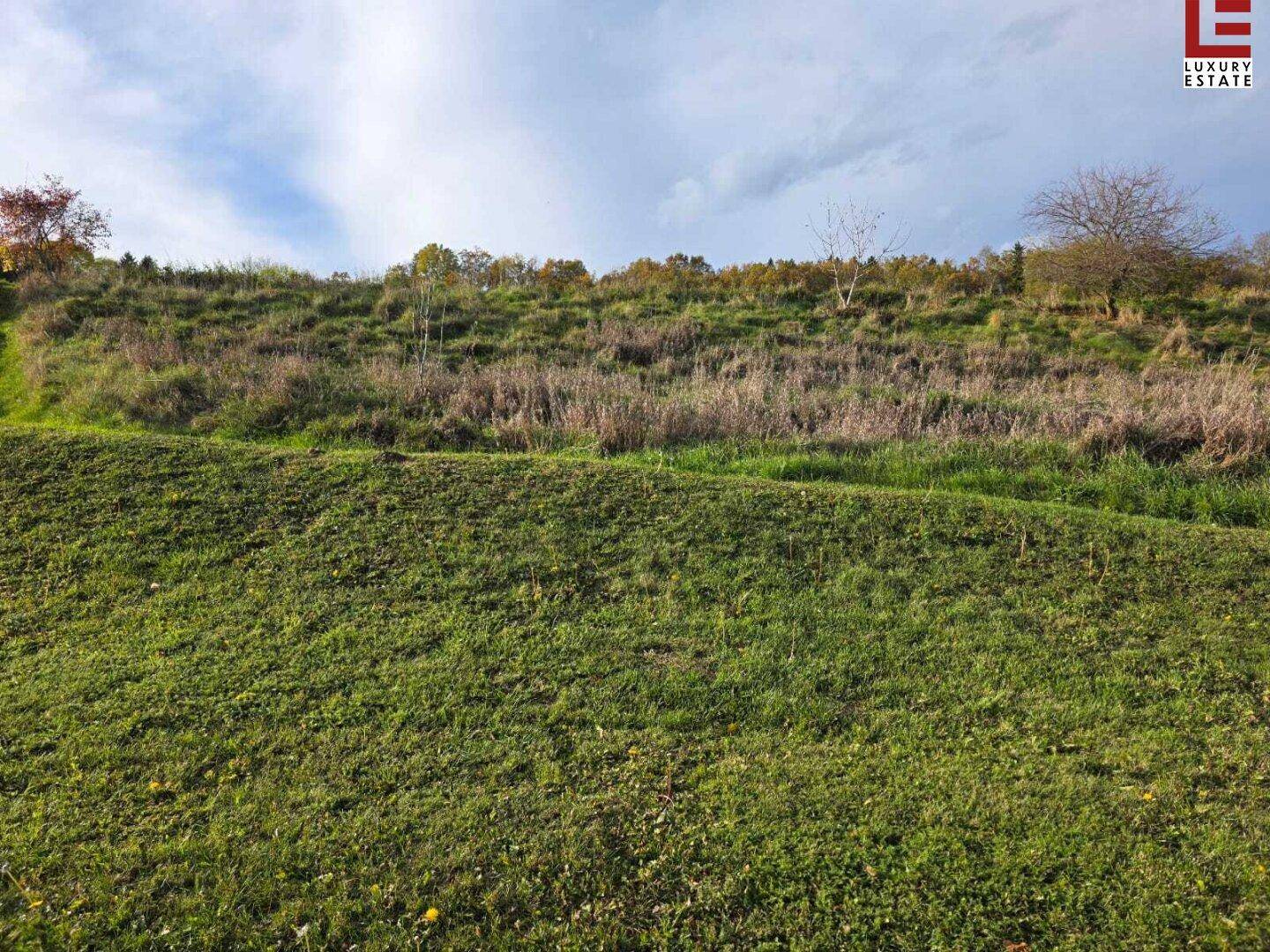 Grüne, hügelige Landschaft mit Gras und Sträuchern unter einem bewölkten Himmel, ideal für naturnahes Wohnen.
