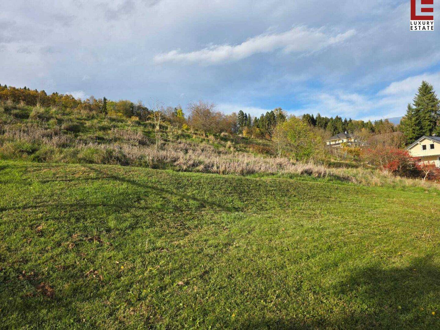 Weitläufige grüne Wiese auf einem Hang mit Blick auf umliegende Häuser und bewaldete Hügel.
