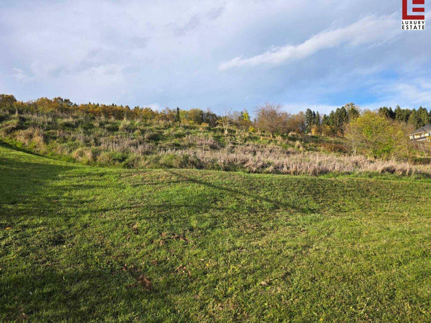 Sonniger Grashang mit vereinzelten Bäumen und Sträuchern, der eine ruhige und natürliche Umgebung bietet.
