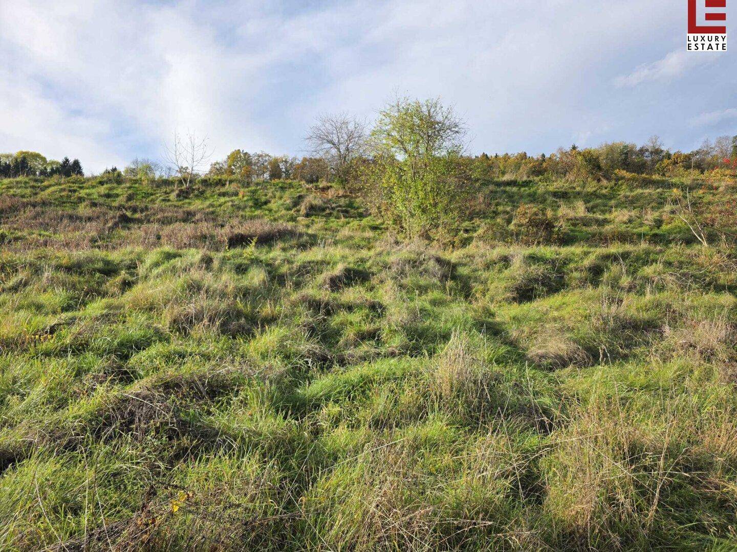 Naturbelassener Grashang mit wilder Vegetation und trockenen Gräsern unter einem weiten Himmel.