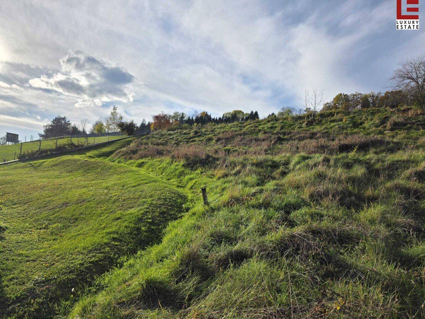 Grüner Hang mit einer natürlichen Senke und Blick auf die bewaldete Umgebung unter blauem Himmel.