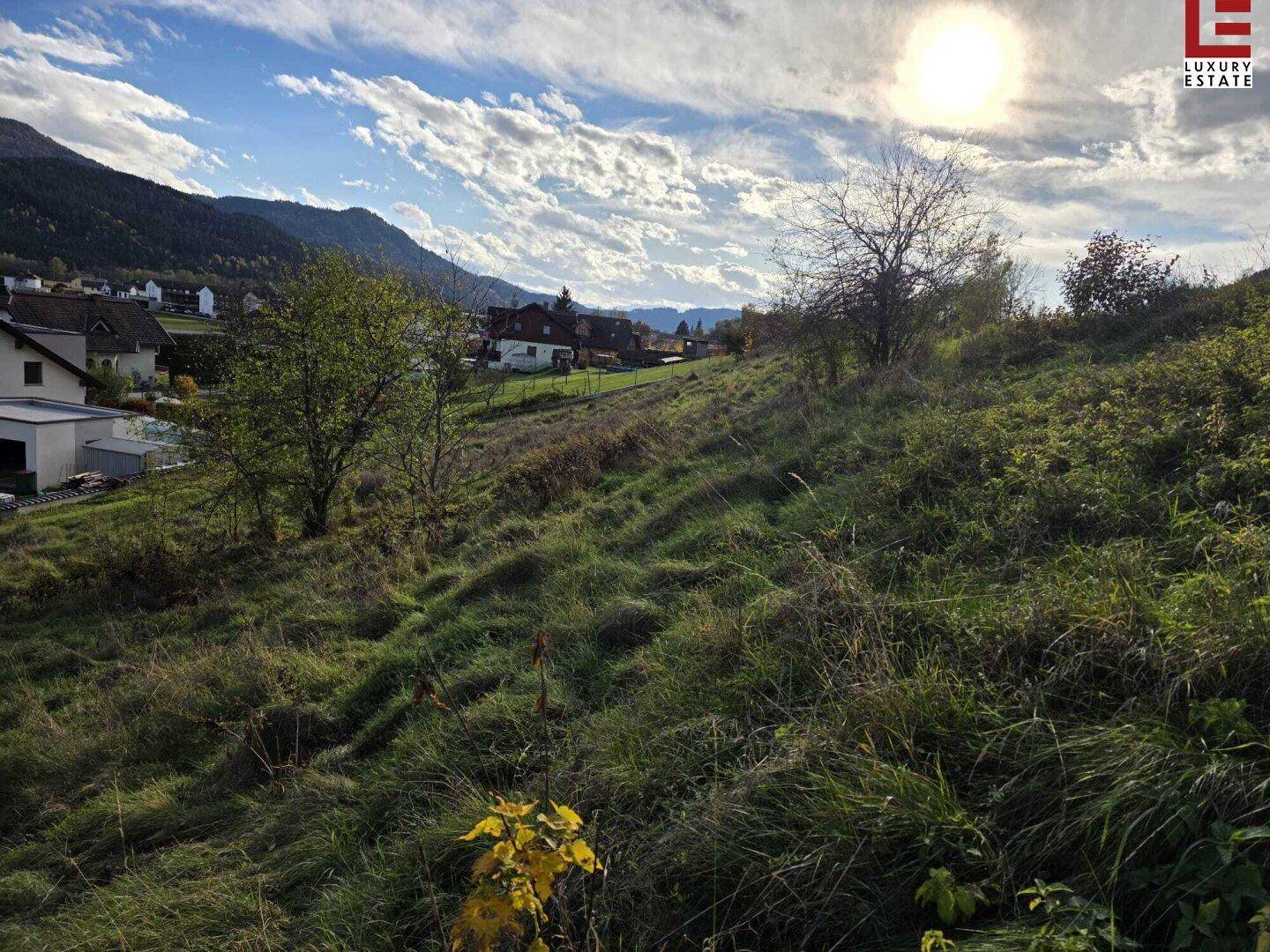 Sonniger Blick über einen grünen Hang mit vereinzelten Bäumen und Häusern in der Ferne.