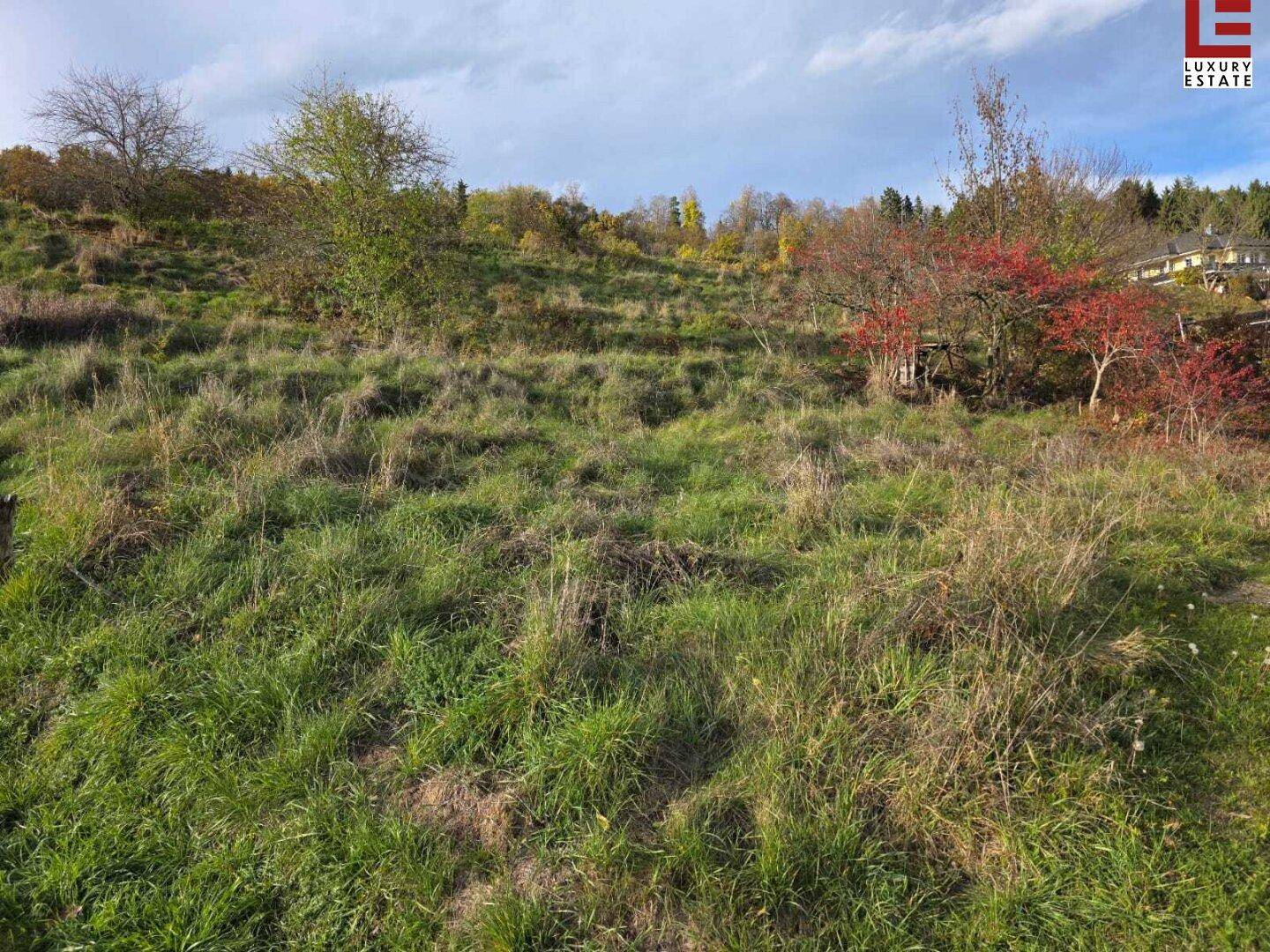 Weitläufiges, grasbewachsenes Hügelgelände unter einem bewölkten Himmel, ideal für Naturfreunde.