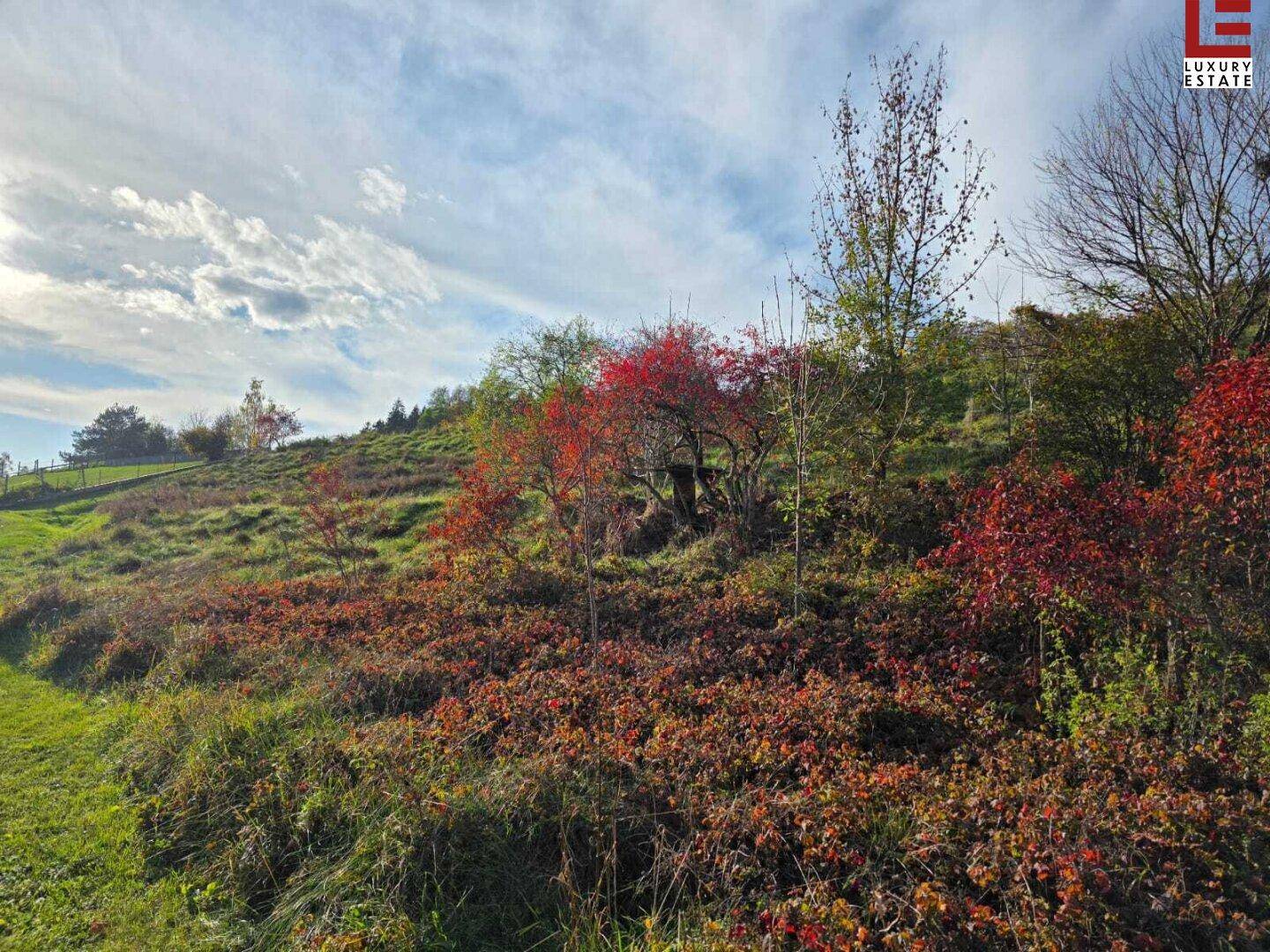 Weitläufiges, hügeliges Gelände mit dichter Vegetation und herbstlichen Farbtupfern unter blauem Himmel.