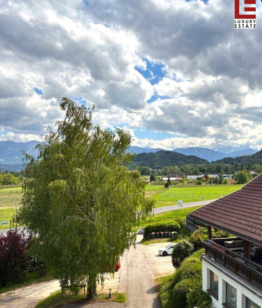 Weitblick über die grüne Landschaft mit Bergen im Hintergrund und einem großen Baum im Vordergrund.