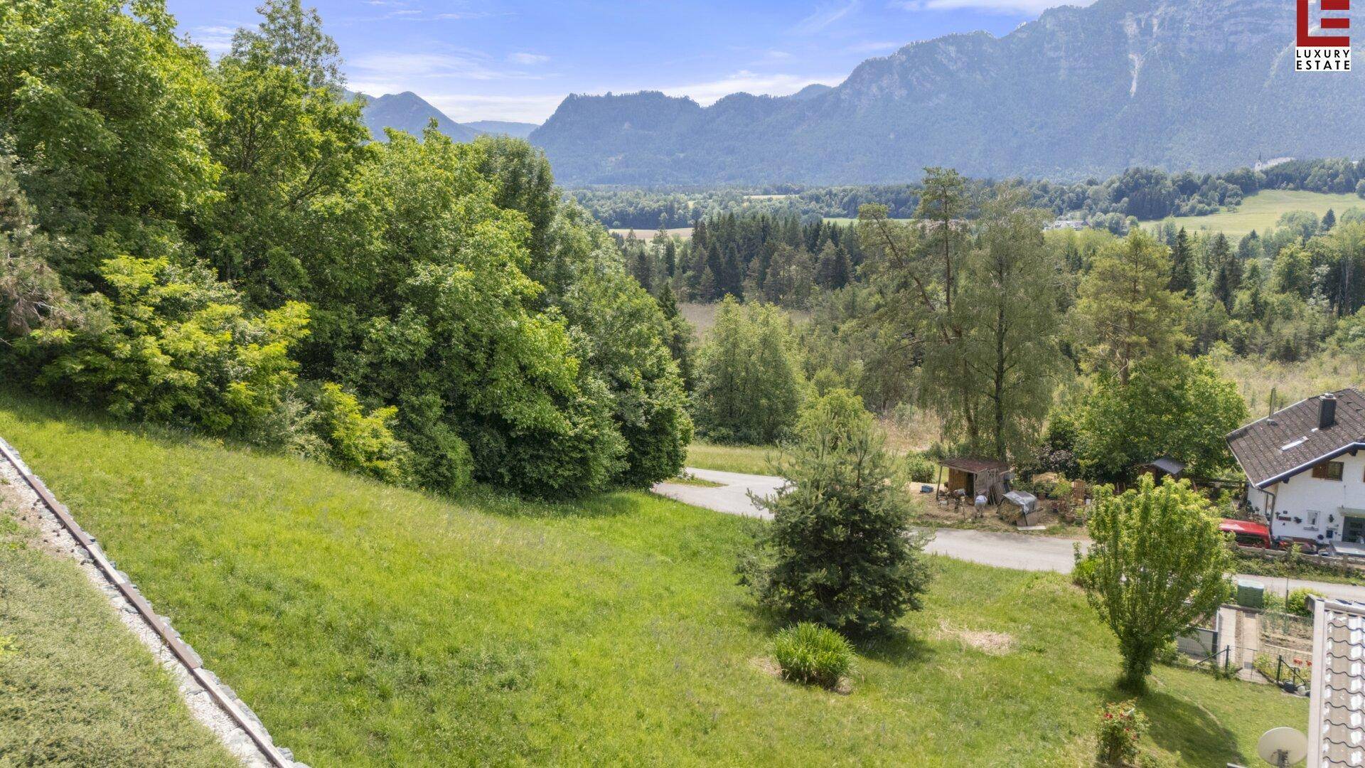 Panoramablick über eine grüne Wiese und Wälder mit majestätischen Bergen im Hintergrund unter blauem Himmel.