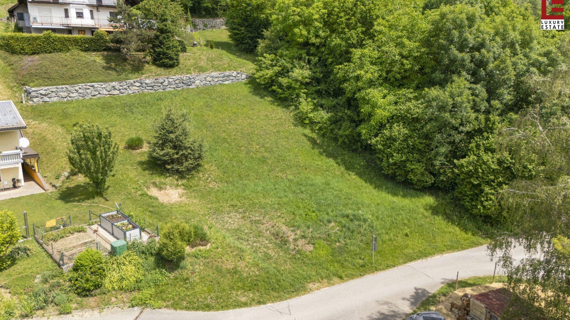 Grünes Baugrundstück in Hanglage, umgeben von Bäumen und angrenzenden Wohnhäusern, mit Zufahrtsstraße.