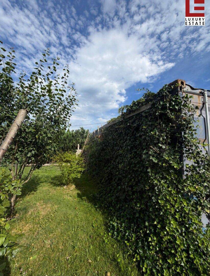 Grüne Gartenmauer mit Efeu bewachsen, umgeben von Bäumen und Sträuchern.