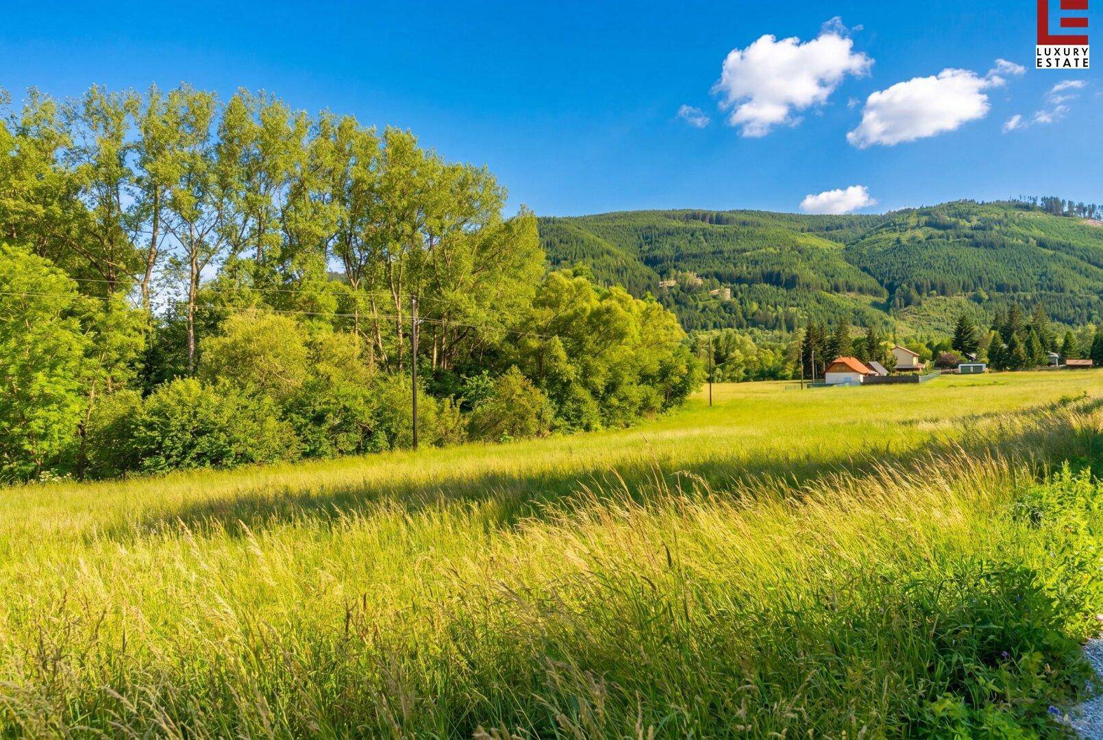 Malerische Landschaft mit hohen Bäumen, grünen Feldern und Bergen im Hintergrund.