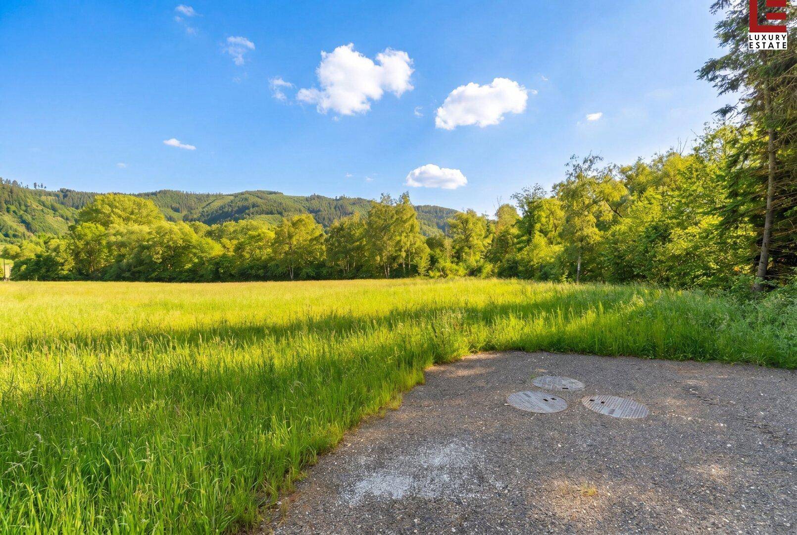 Grüne Wiesen und Wälder unter blauem Himmel, mit einem Schotterweg im Vordergrund.