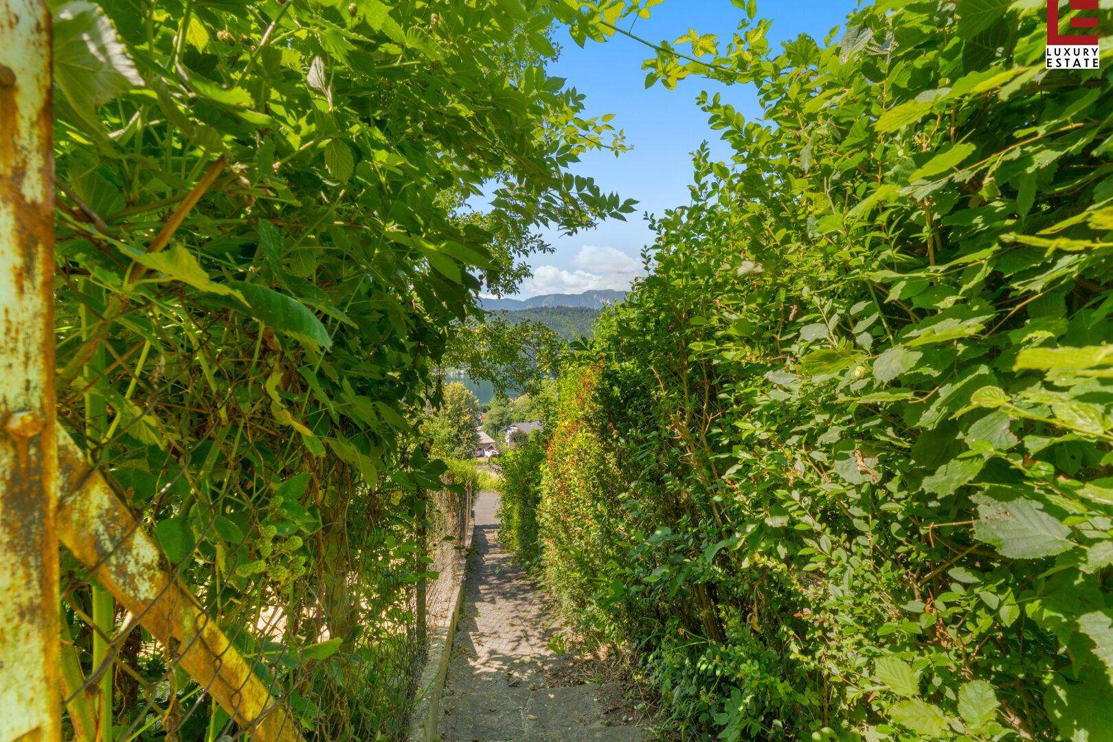 Verwunschener Gartenweg, umgeben von üppigem Grün und Bäumen, der zu weiteren Bereichen führt.