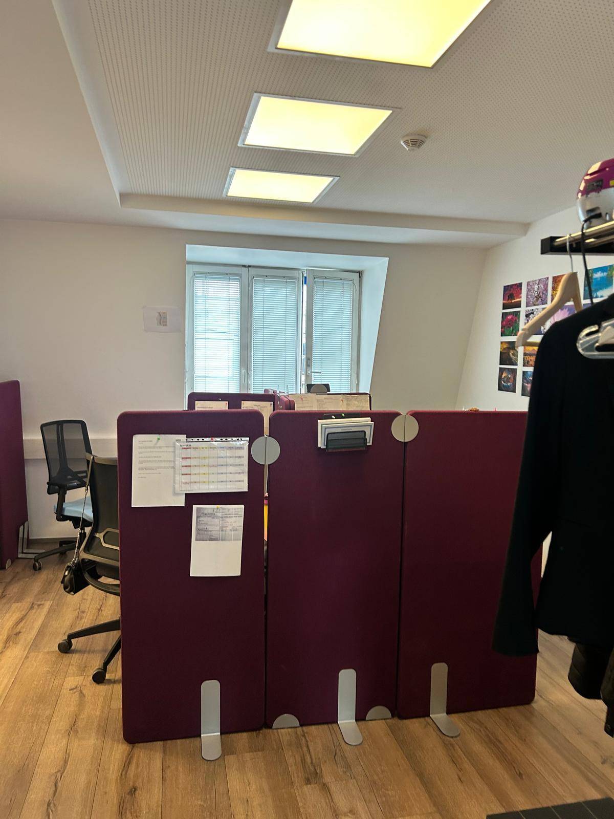 Großraumbüro mit Trennwänden in Magenta, Laminatboden und Deckenbeleuchtung.