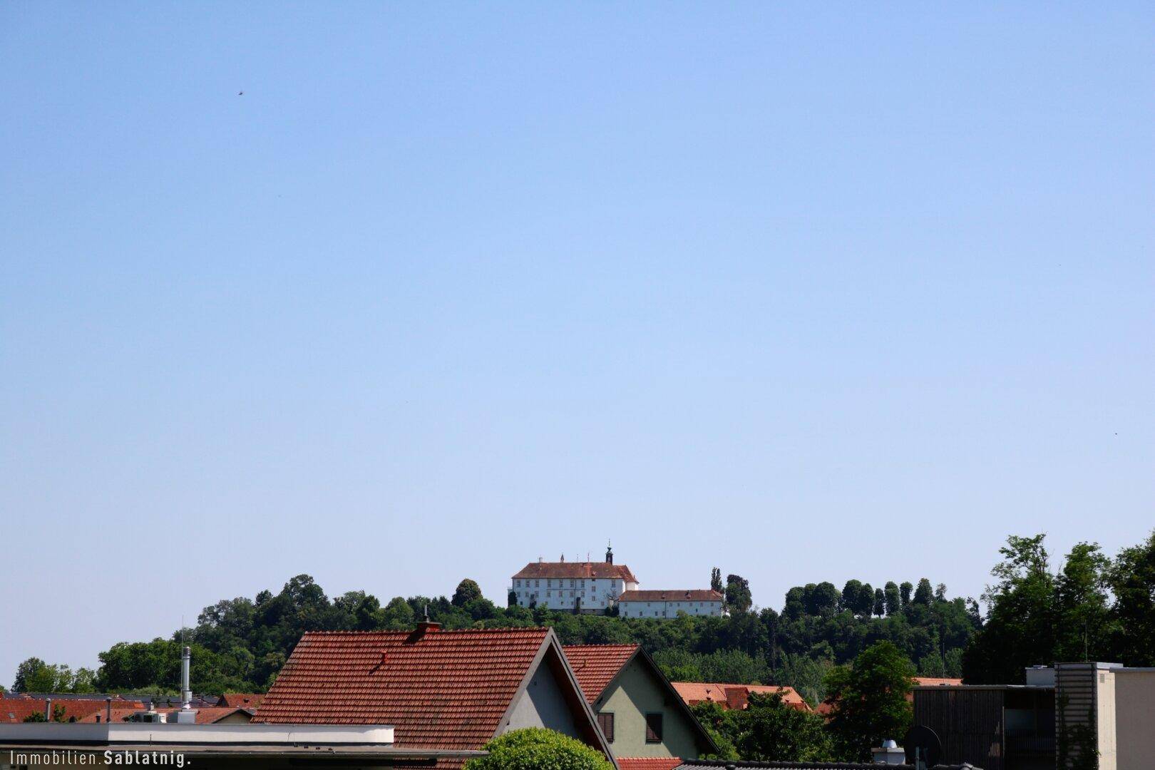 Weitläufiger Blick über Dächer und grüne Hügel mit einer historischen Burg am Horizont.