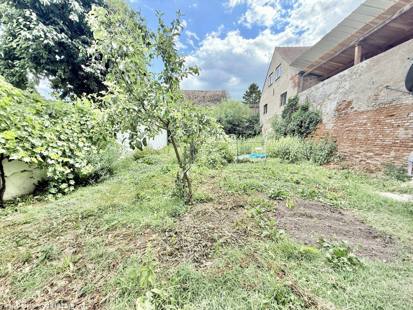 Naturbelassener Gartenbereich mit Rasen, jungen Obstbäumen und einem alten Gebäude im Hintergrund.