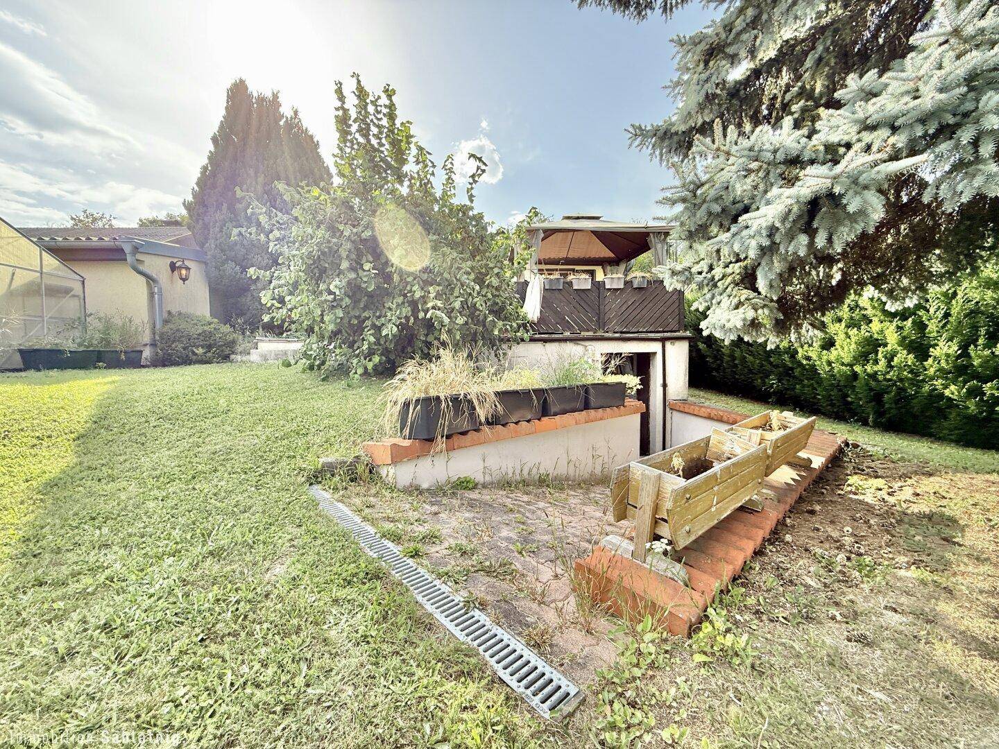 Gartenbereich mit Rasenfläche und einer kleinen unterirdischen Struktur, umgeben von Pflanzen.