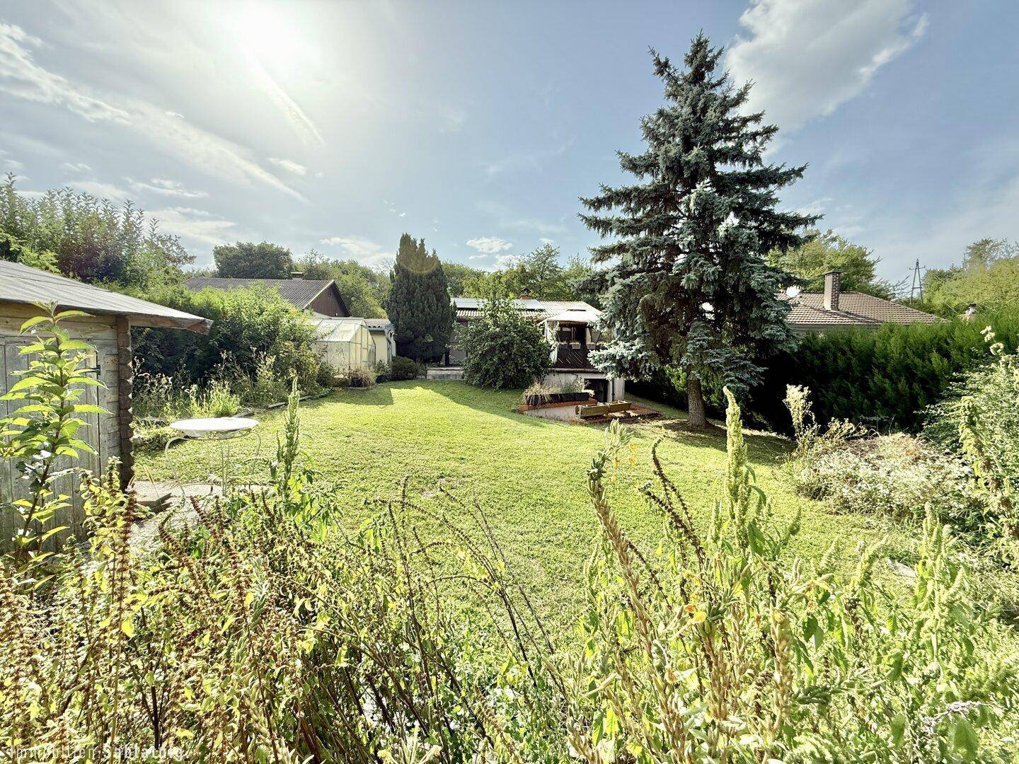 Großer Garten mit weitläufiger Rasenfläche, hohen Bäumen und einem kleinen Gartenhaus.
