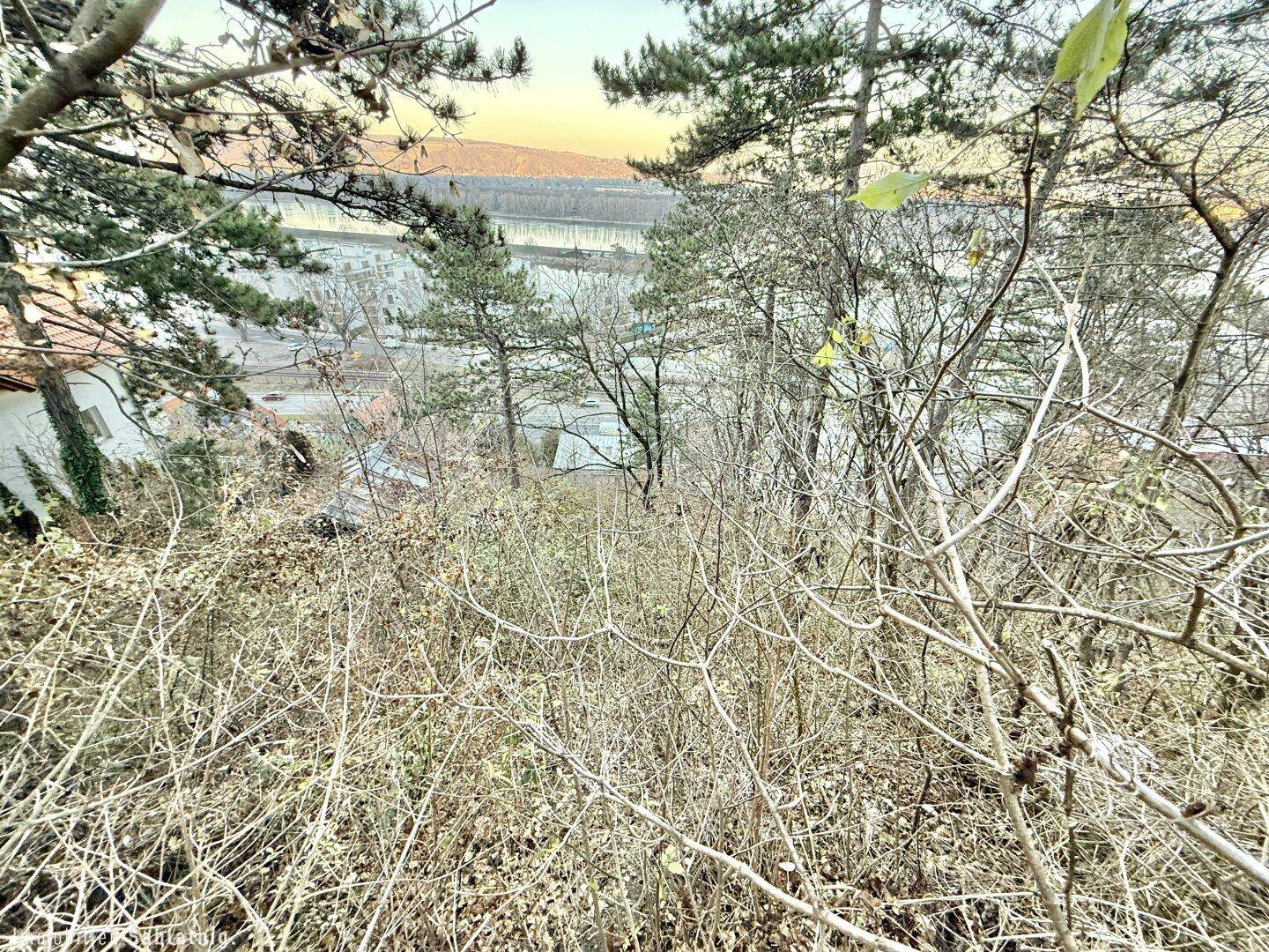 Blick durch trockene Vegetation auf das Wasser und die umliegende Landschaft in der Ferne.