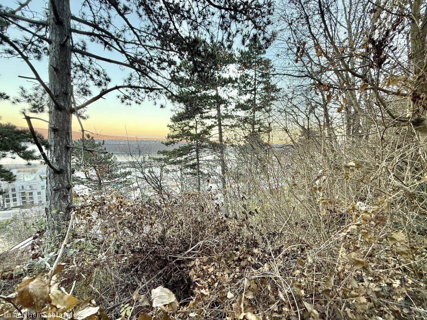 Panoramablick durch Bäume und Sträucher auf die Stadt und das Wasser bei Dämmerung.
