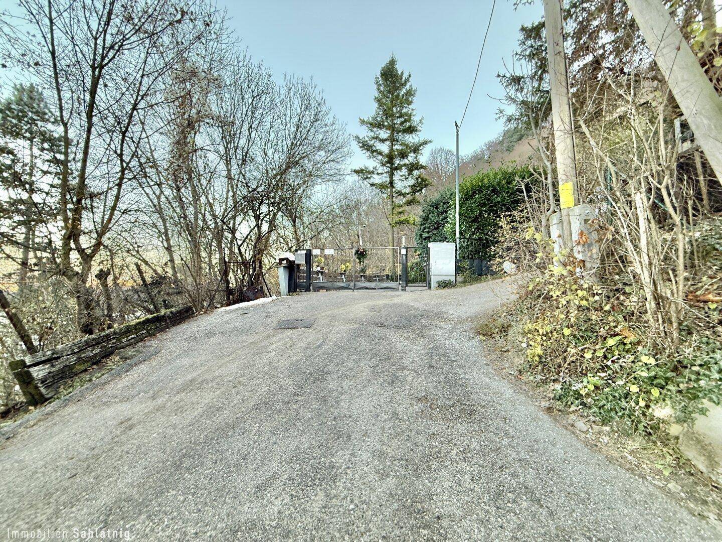 Schotterweg führt zu einem Tor, umgeben von Bäumen und dichter Vegetation.