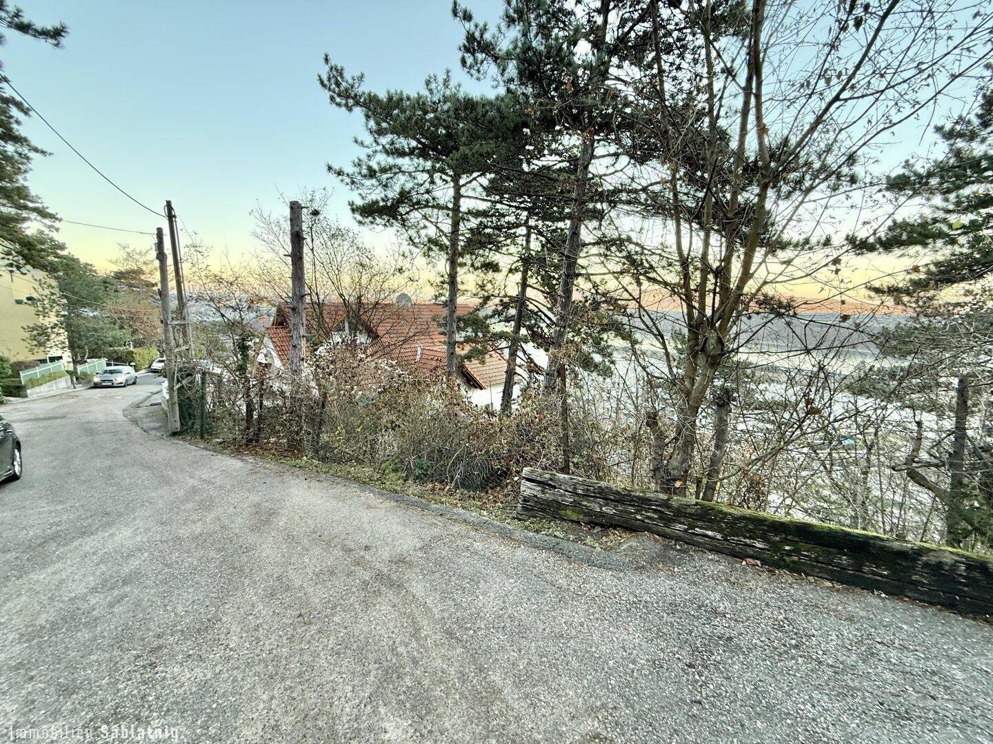 Kurviger Schotterweg mit parkendem Auto und Blick auf das Wasser durch die Bäume.