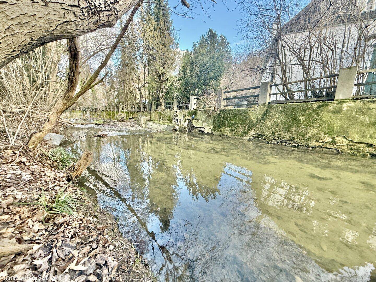Bachlauf mit klarem Wasser und bewachsenen Ufern, umgeben von Bäumen und Vegetation.