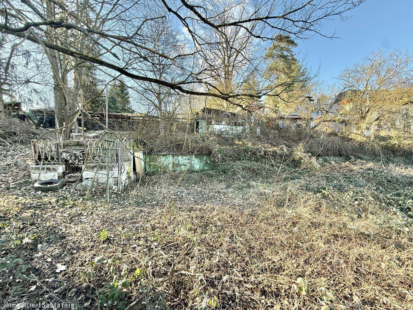 Überwuchertes Grundstück mit Bäumen und einem Teich oder Wasserbecken im Hintergrund unter blauem Himmel.