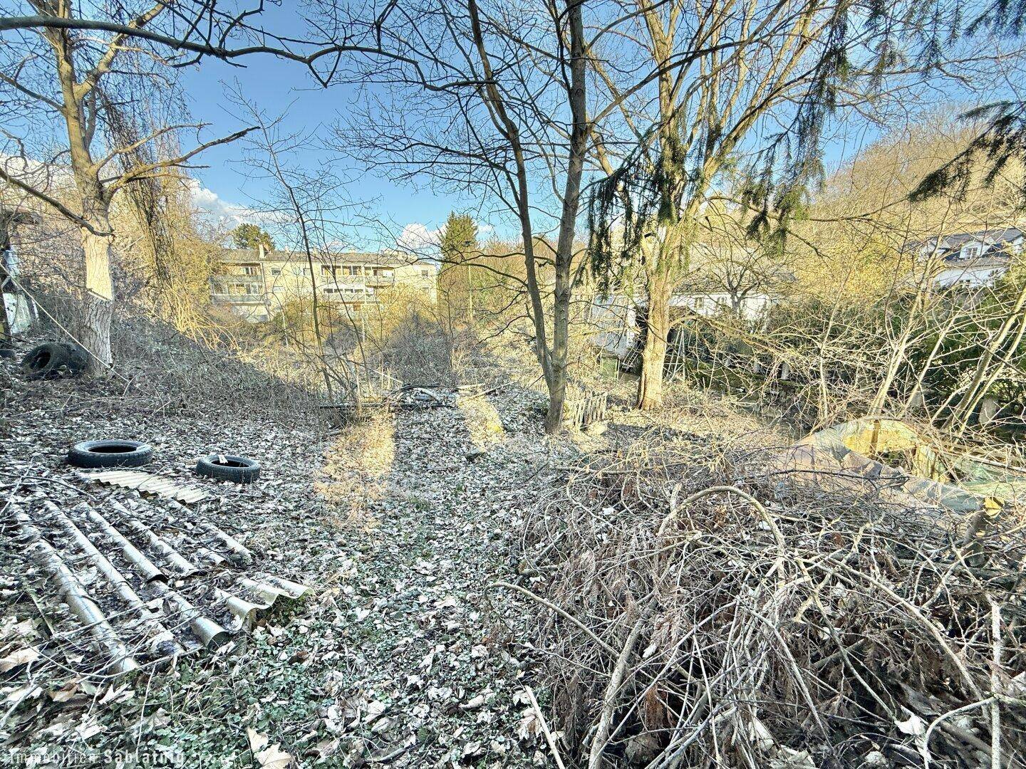 Überwuchertes Grundstück mit Ästen und Reifen, umgeben von Bäumen und Vegetation.