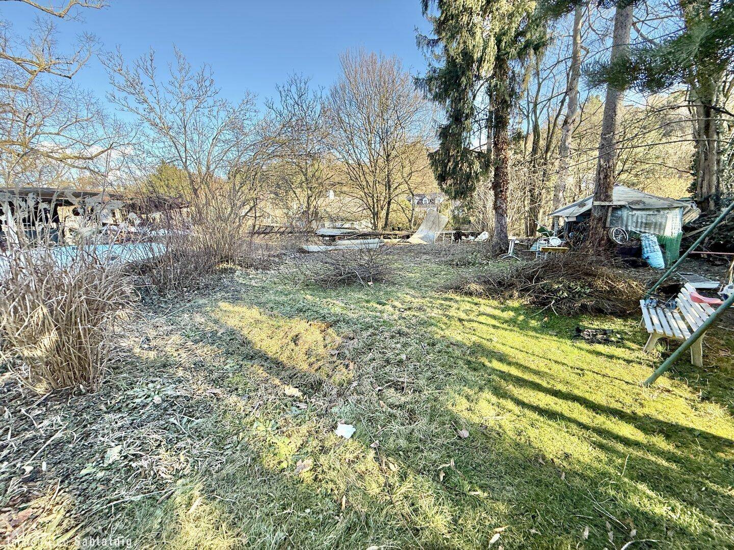 Teilweise gepflegter Gartenbereich mit Rasenfläche, Bäumen und einer Bank, umgeben von Wildwuchs.
