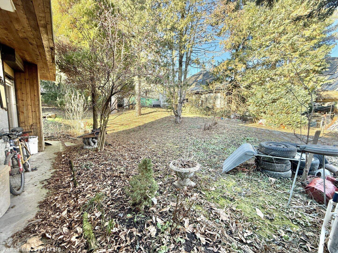 Blick auf einen verwilderten Gartenbereich neben einem Gebäude mit Bäumen und Laub auf dem Boden.
