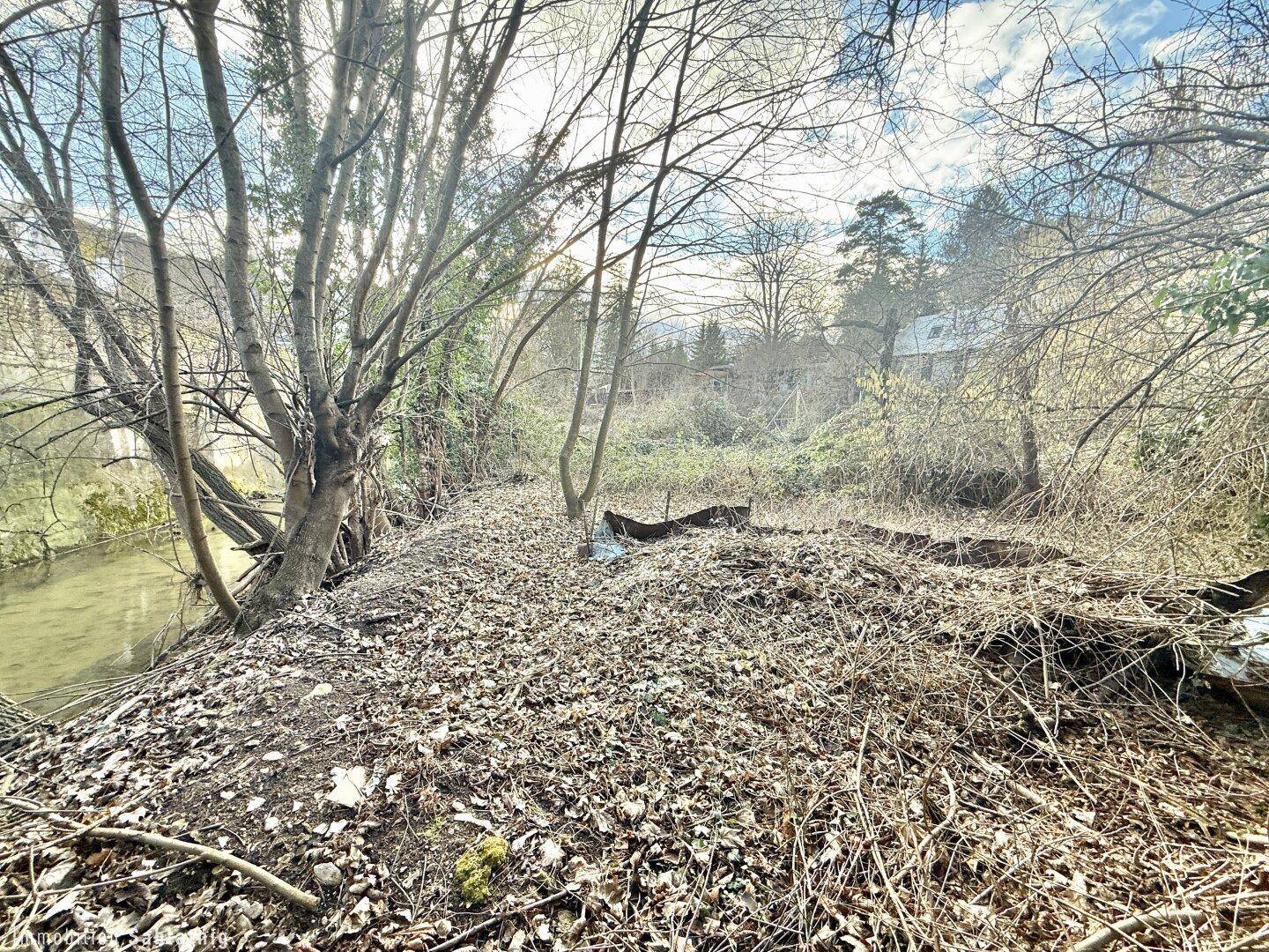Verwildertes Grundstück mit Bäumen und einem Bachlauf im Vordergrund unter bewölktem Himmel.