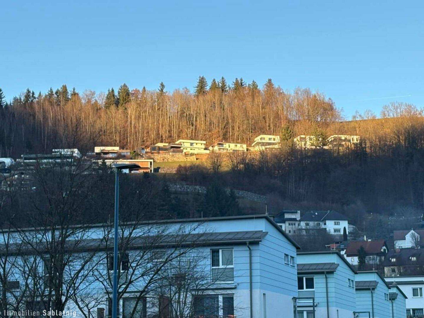 Blick auf einen bewaldeten Hang mit modernen Gebäuden, die sich harmonisch in die Landschaft einfügen.