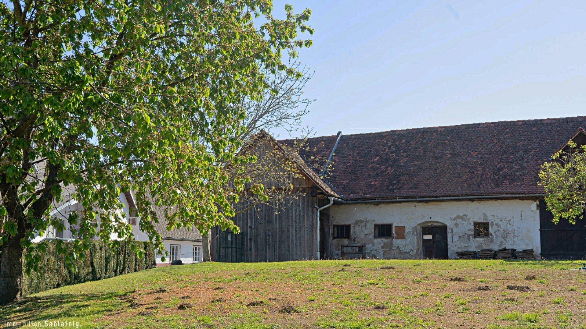 Altes landwirtschaftliches Gebäude mit verwitterter Fassade und großem Baum im Vordergrund.
