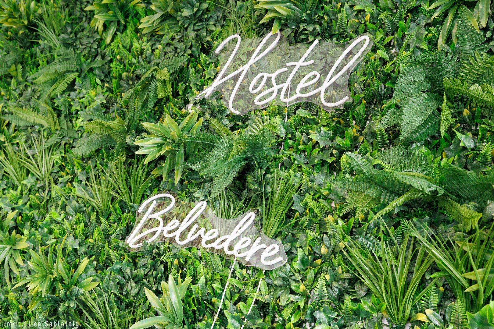 Grüne Pflanzenwand mit zwei weißen Neon-Schriftzügen "Hostel" und "Belvedere" als moderne Dekoration.