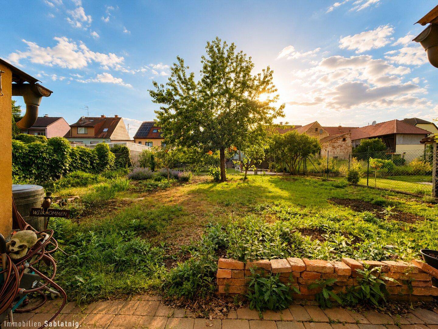 Großer, sonniger Garten mit altem Baum, Rasenfläche und Beeten unter blauem Himmel.