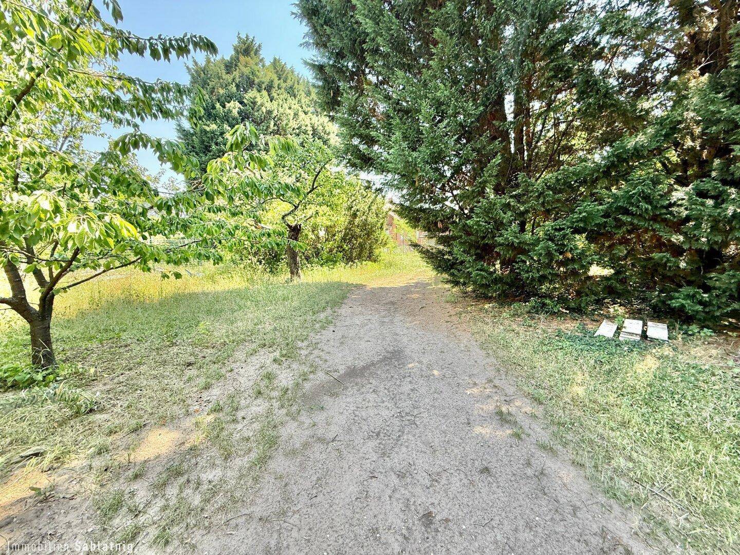 Naturbelassener Weg durch eine grüne, baumbestandene Gartenlandschaft.
