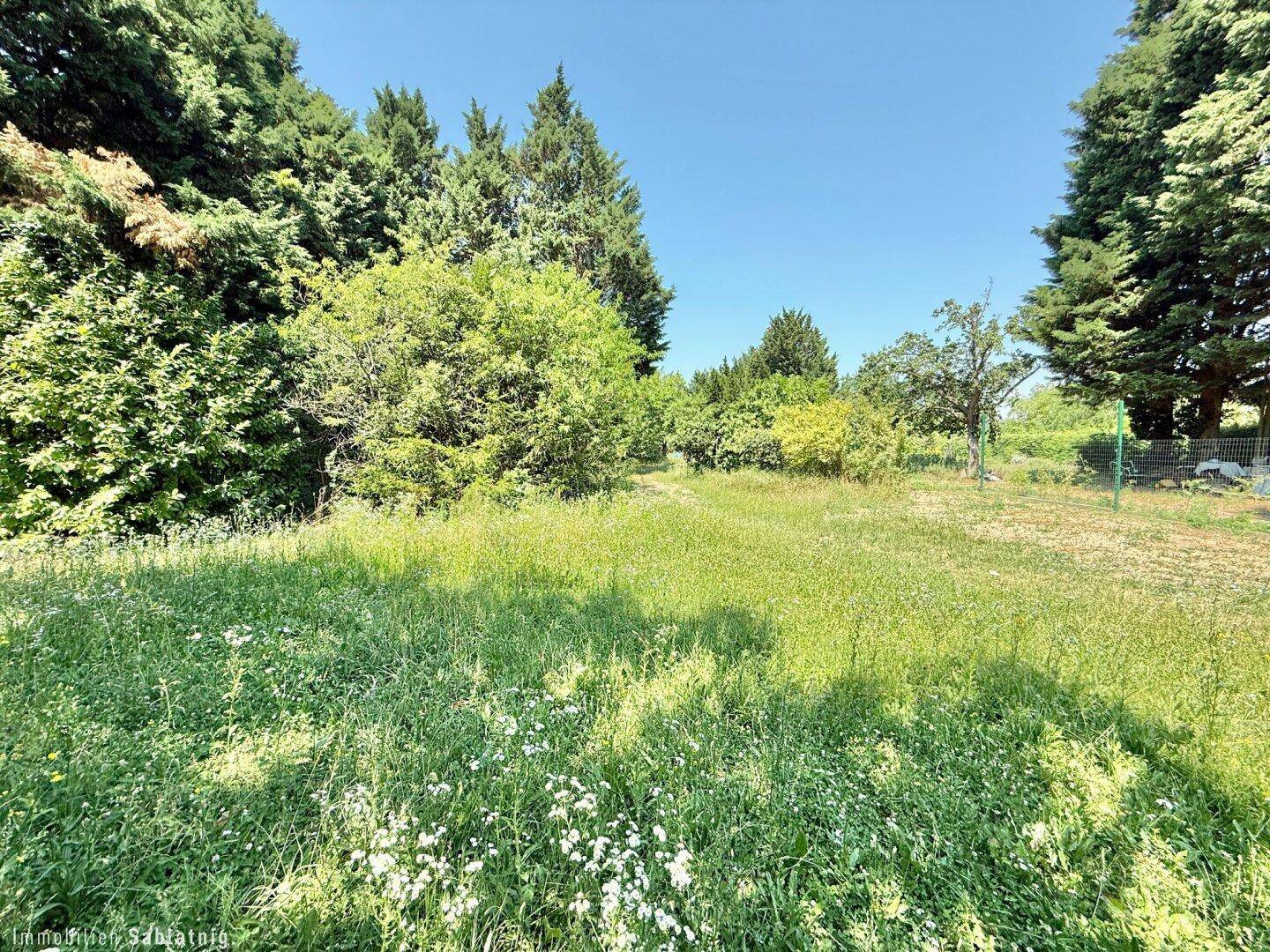 Weitläufige Rasenfläche mit Wildblumen und umgebenden Bäumen, ideal für einen großen Garten.