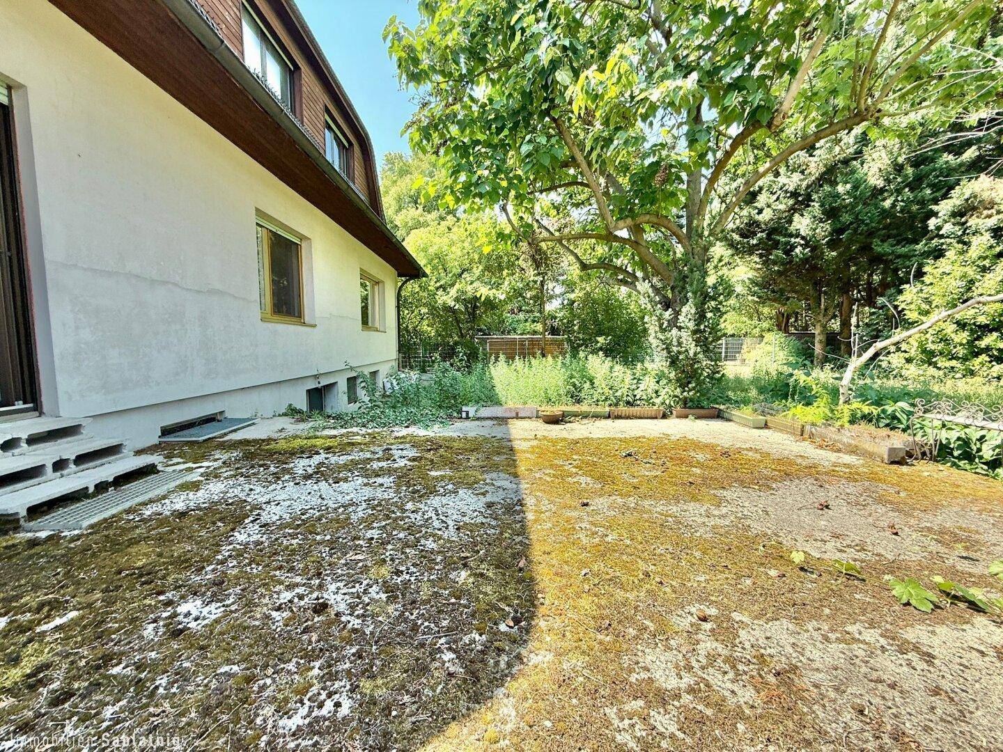 Seitenansicht des Hauses mit einem großen Baum und einem verwilderten Gartenbereich.